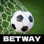 BetWay Sports icon