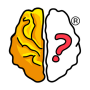 Brain Out icon