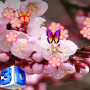 3D Sakura Live Wallpaper 2024