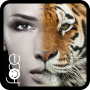 Beauty Face Plus : face morph icon